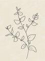 Image Not Available